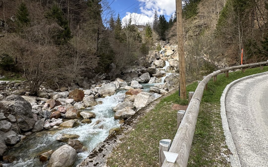 MiniGeoBioBlitz v Dovžanovi soteski