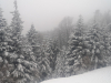 Pohorje8